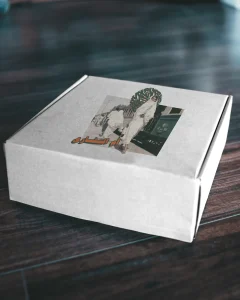 box-mockup-0010